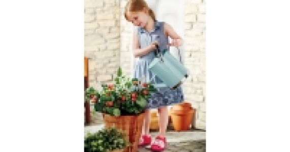 Fruit and Vegetable Plants £2.99