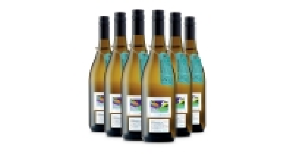 Lot 05 Leyda Sauvignon