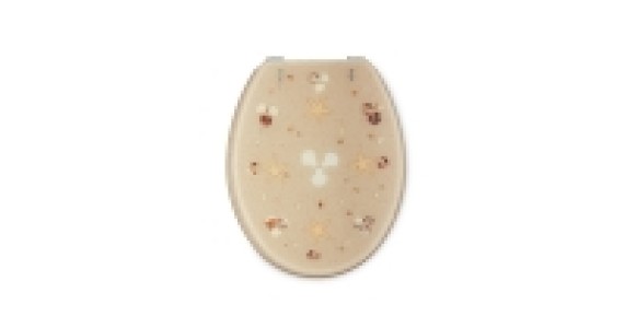 Sand and Starfish Toilet Seat