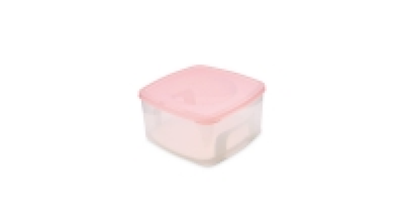 Cake Box with Lifter £4.99