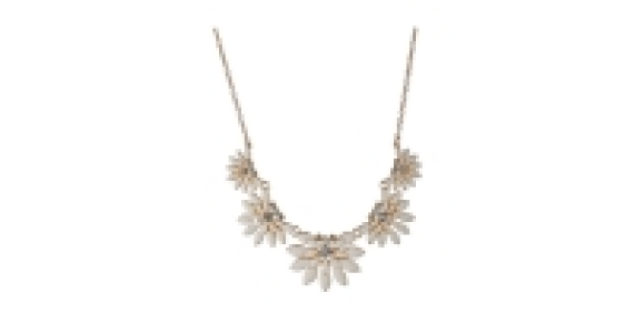Aldi  Enamel Flower Necklace