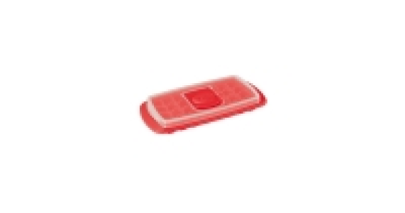 Mini Ice Cube Tray £2.49