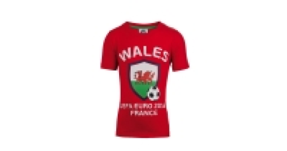Childrens Wales UEFA 2016 T-Shirt
