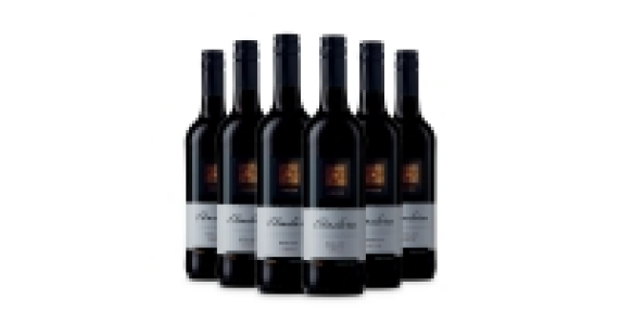 Andara Chile Merlot