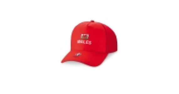 Childrens Wales UEFA 2016 Cap