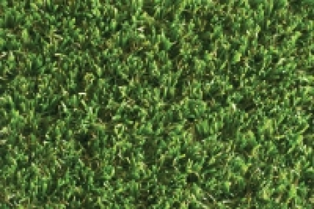 Namgrass Artificial Grass Eclipse 2m x 1m £53.98
