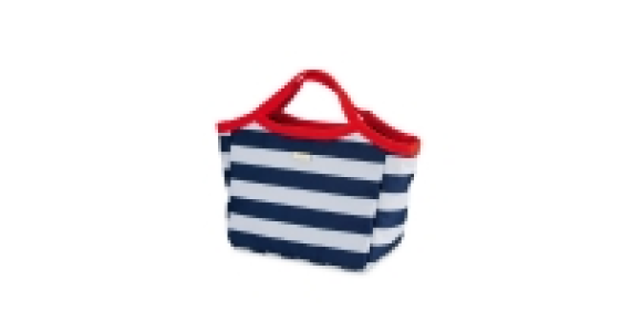 Insulated Handbag