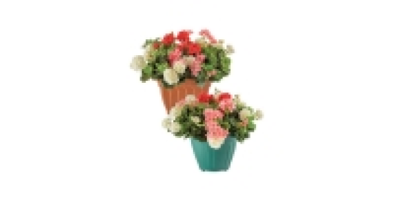 Self-Watering Round Pot £2.99
