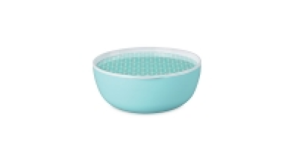 Salad Bowl £3.99