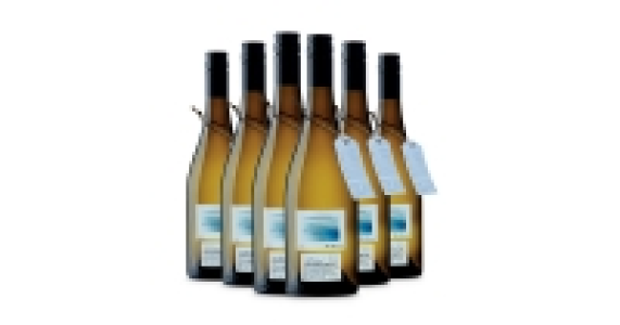 Lot 13 Oaked Sauvignon