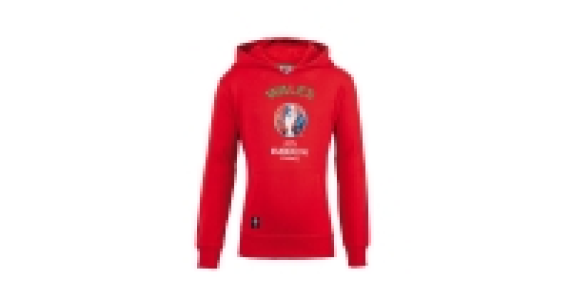 Childrens Wales UEFA 2016 Hoody