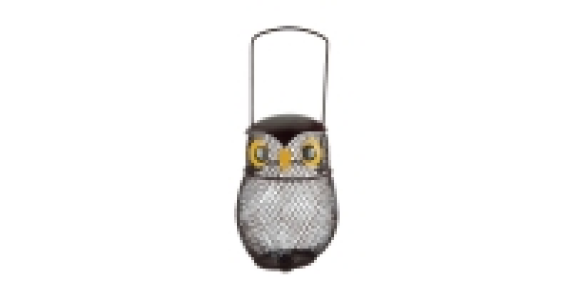 Kids Novelty Owl Bird Feeder