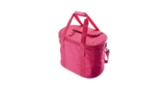 Picnic Cooler Bag £8.99