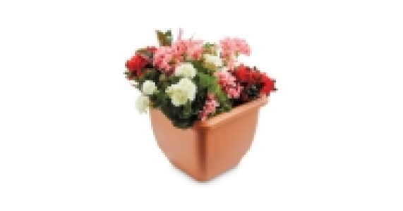 Self-Watering Pot £3.99
