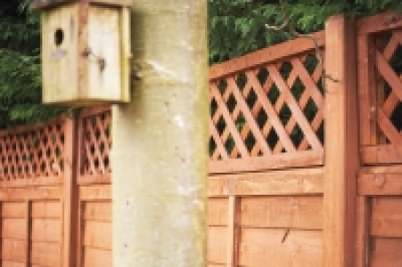 Wickes Fence Top Trellis Diamond Lattice Autumn Gold 1.83m x