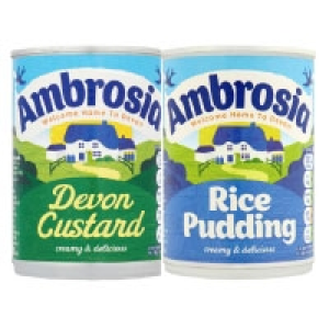 Ambrosia Custard / Rice