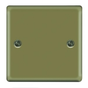Blanking Plate 1 Gang Pearl Nickel Raised Plate