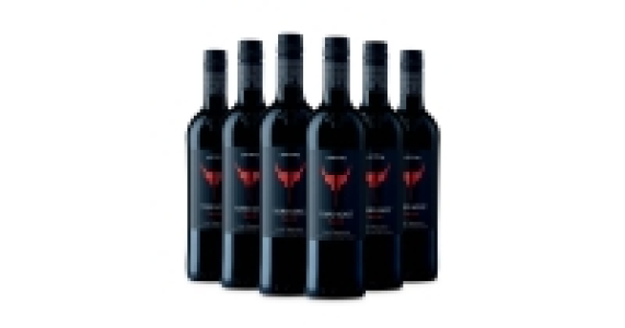 Toro Loco Bobal Merlot