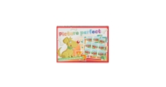 Picture Perfect Educational Game