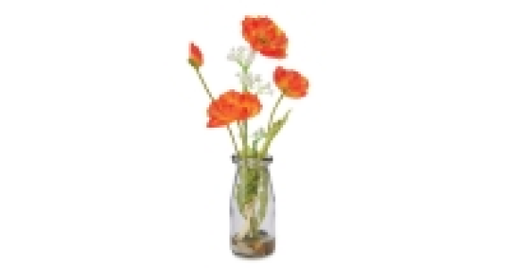 Vintage Bottle - Orange Poppy