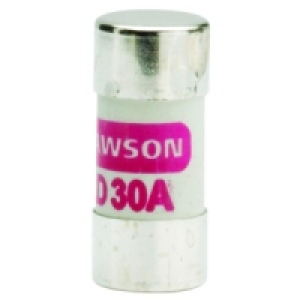 Consumer Unit Replacement Fuse 30 Amp