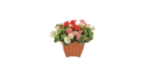 Self-Watering Square Patterned Pot