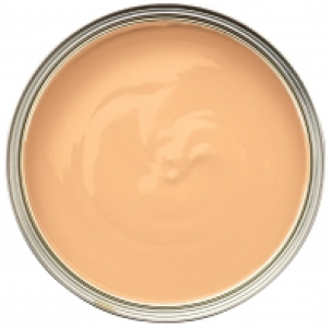 Wickes Colour @ Home Vinyl Matt Emulsion Paint- Copper Twist £13.99