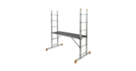 Scaffold and Ladder System