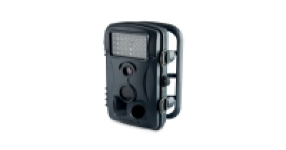 Grey Wildlife Camera