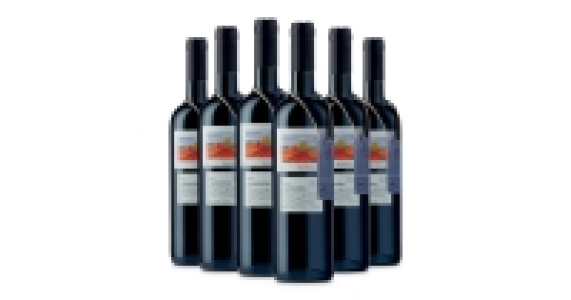 Lot 08 Colchagua Carm&eacute;n&egrave;re 2012