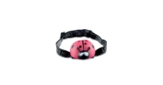 Ladybird Head Torch