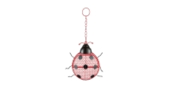 Kids Novelty Ladybird Bird Feeder