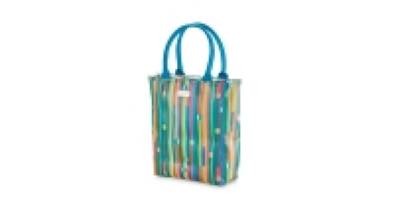 Bright Stripes Lunch Tote