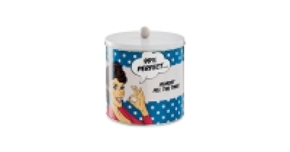 Vintage 1950s Biscuit Tin