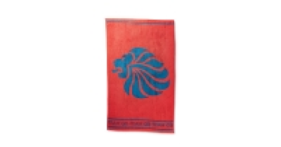 Aldi  Team GB Blue Lion Beach Towel