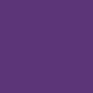 Wickes Vinyl Silk Emulsion Paint Aubergine 2.5L