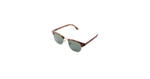 Demi-Brown Browline Style Sunglasses