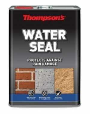 Thompsons Water Seal 5 Litres