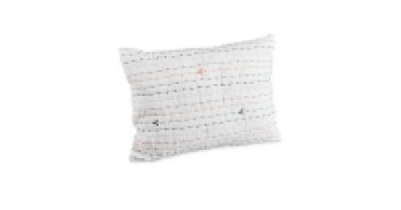 Bright Embroidered Cushion