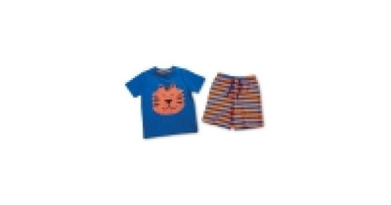 Boys Shorty Lion Pyjamas