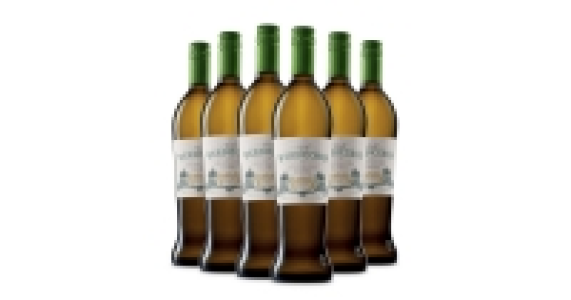Verdicchio Classico