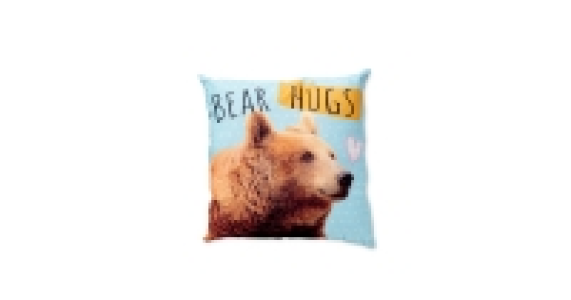 Bear Hugs Shaped Cushion