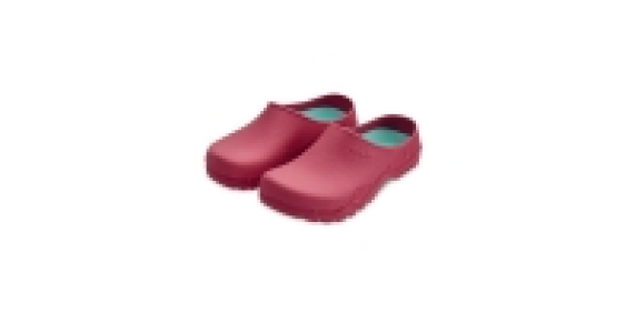 Garden Clogs £2.49