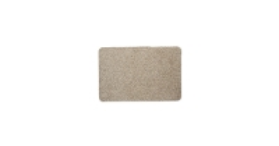 Pet Dirt Buster Mat £3.49