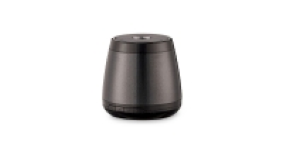 Wireless Speaker Bug £8.99