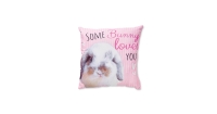 Aldi  Bunny Loves You Shaped Cushion