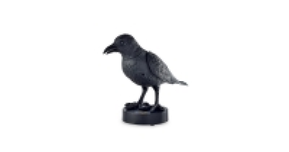 Halloween Animated Crow
