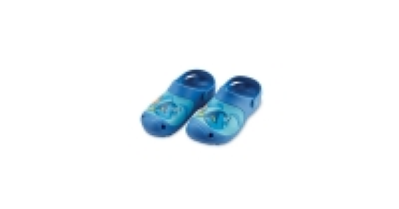 Finding Dory Childrens Clogs