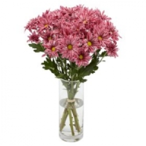 Chrysanthemums £2.50