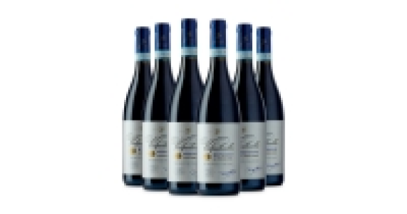 Exquisite Valpolicella Ripasso